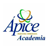 ÁPICE ACADEMIA                     